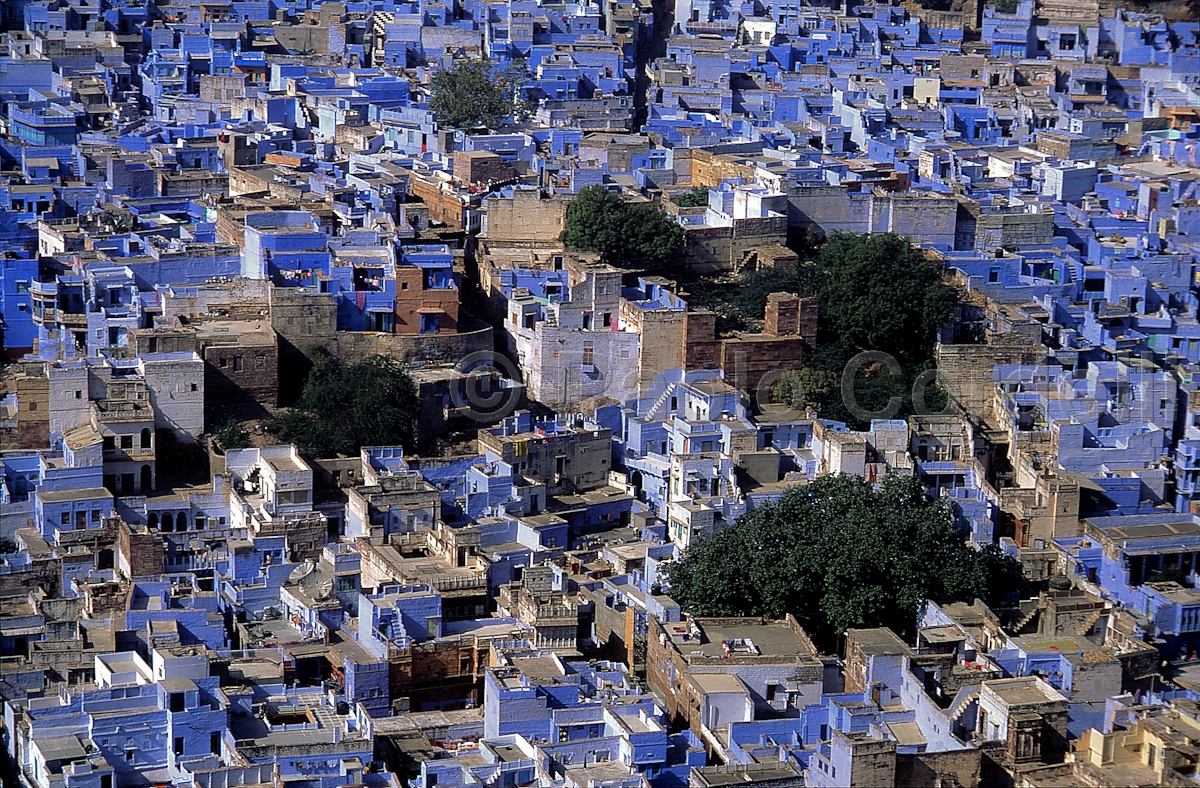 Blue Brahmin houses, Jodhpur, Rajasthan, India
 (cod:India 51)